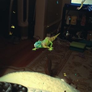 Meet your Posher, Roberta